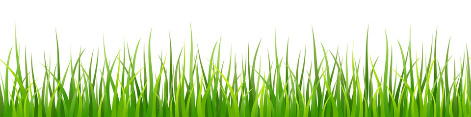 Fototapeta premium Vector decorative seamless pattern with shaded green grass leaves on white background