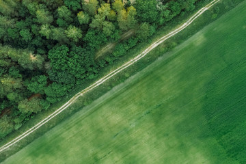 Country road near the forest and green field view from the top. The road near the pine forest. Nature with aerial view. Background