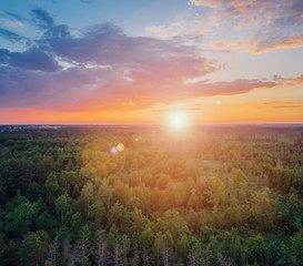 Naklejka na ściany i meble Forest at sunset. The sun shines over the treetops against a beautiful cloudy sky. Aerial view