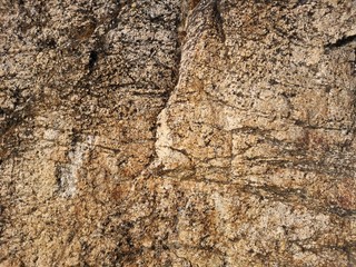 Textura de piedra