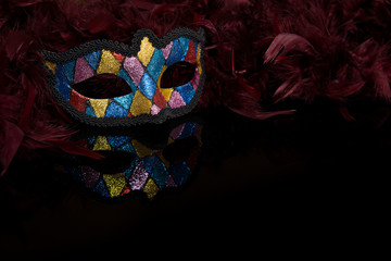 Colorful mask with a feather boa on a black background