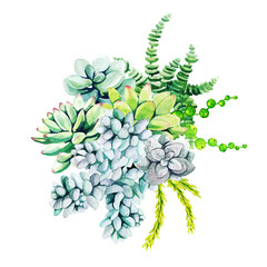 Composition of watercolor cactus plants and succulents