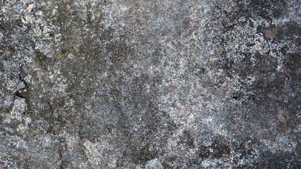 black and white texture of stone