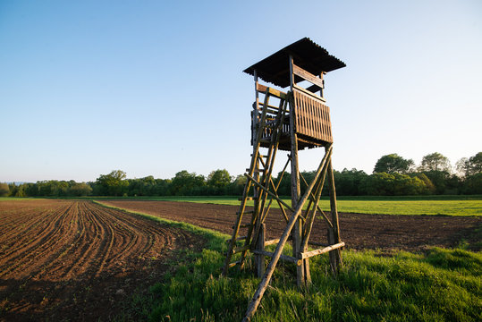 Ambona myśliwska w polach, lesie 