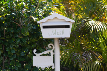  mailbox no number in front of the house with sunlight and beautiful natural background