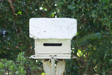  mailbox no number in front of the house with sunlight and beautiful natural background