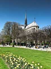 Notre  Dame de Paris