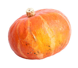 Pumpkin on white background