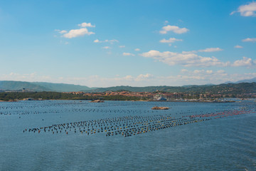 Naklejka premium Olbia coastline Sardinia