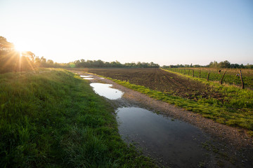 Wiejska droga z kałużami w polu 