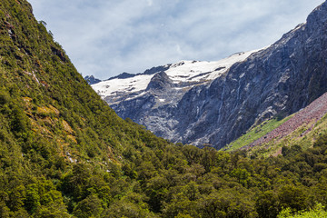 Forested valley between snowy mountains and hills. New Zealand