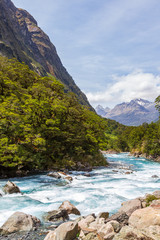 Fast river against the background of mountains. Fiordland national park. New Zealand