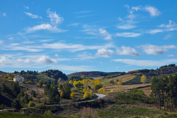 Fototapeta premium Autumn on the Sila Mountains