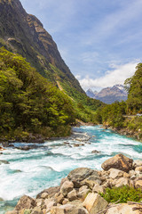 Landscape with rapid river near Pop's View lookout. Fiordland. South Island, New Zealand