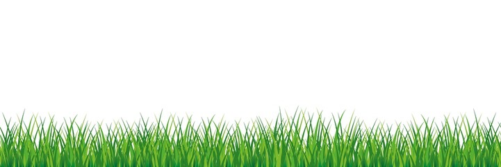 Fototapeta premium Seamless spring grass. Natural green saturated grass horizontal lawn lush ecological natural young vector foliage open green shoots beautiful clipart herbal seamless pattern.