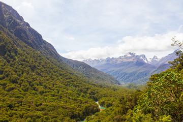 Fototapeta premium Landscapes of Fiordland National Park. A river in the middle of a dense forest below. New Zealand