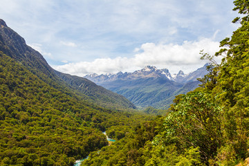 Fototapeta na wymiar Fiordland National Park. River among the dense forest below. New Zealand