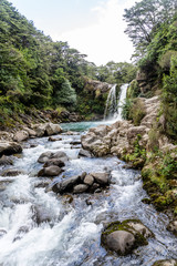 Gollum Pools and Waterfall, Tawhai Falls- New Zealand, 