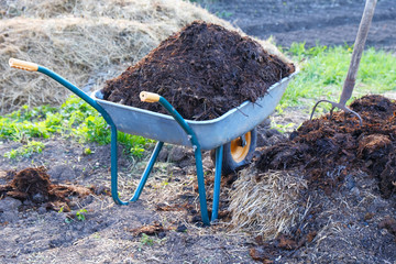 full garden cart with humus