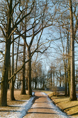 path in the park