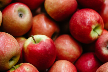 Fototapeta na wymiar red ripe apples close up