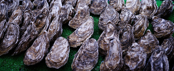  Fish Restaurant. Fischrestaurant.