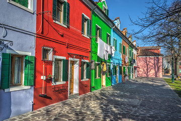 Colorful facades and trees in Burano