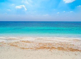 Fototapeta na wymiar White sand and turquoise sea in Stintino