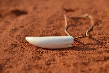 crocodile tooth necklace on red earth in australia