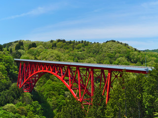 Fototapeta na wymiar 青空と山の中の赤い橋