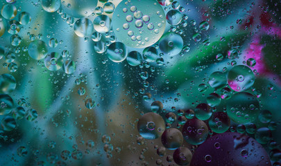 Oil and Water