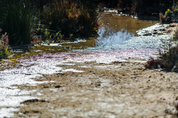 Pink salt lake near the town of Torrevieja. Alicante province. Spain