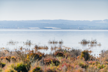Pink salt lake near the town of Torrevieja. Alicante province. Spain