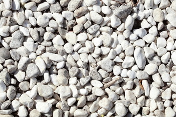 Weisse Kieselsteinchen als Bodenbelag, Hintergrundbild