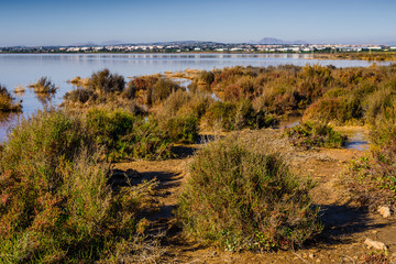 Pink salt lake near the town of Torrevieja. Alicante province. Spain