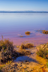 Pink salt lake near the town of Torrevieja. Alicante province. Spain