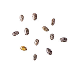 chia seeds isolated on white background