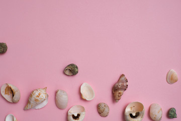 Different seashells on a bright pink background , the concept of holidays by the sea.