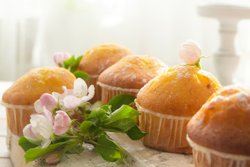 Golden muffins with powdered sugar and spring flowers