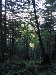 Naklejka premium Japan Southern Alps Mount Shiomi 日本 南アルプス 塩見岳