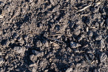 Soil with mineral fertilizer