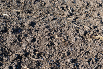 Soil with mineral fertilizer