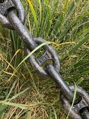Heavy iron chain and links in the grass.
