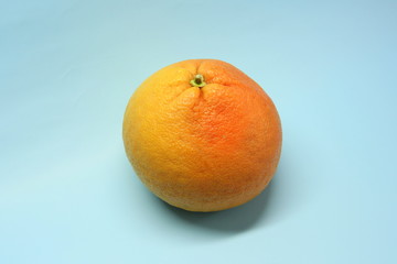 Red-orange whole uncut grapefruit on a blue background. Juicy citrus fruit.