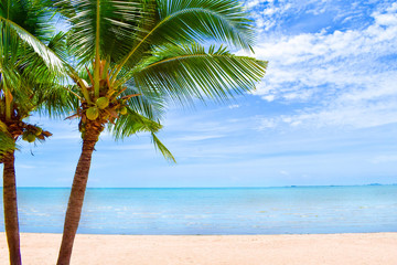 Tropical beach landscape with palm trees