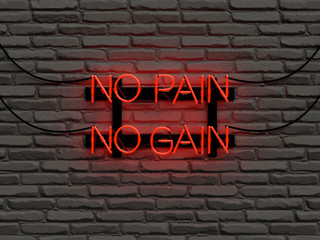 Obraz premium Neon Sign with No Pain No Gain motivation phrase blowing in red in a white brick wall