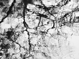 abstract reflection of tree on water in the pond black and white style