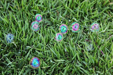 한국 경기도 시흥시 시흥생태공원 입니다