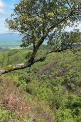 Scenic mountain landscpes  in rural Kenya, Aberdare Ranges