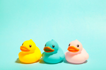 Colorful rubber bath ducks on blue background